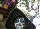 IMG 6483