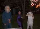 IMG 6485