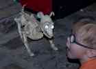 IMG 6497