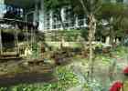 Gaylords6