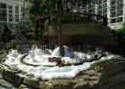 Gaylords7