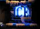 ICE49