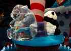 IMG 5882