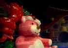 IMG 5888