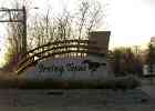 Irving1