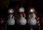 IMG 6572
