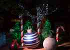 IMG 6578