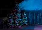IMG 6580