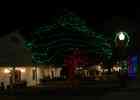 IMG 6585