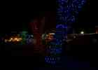 IMG 6587