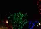 IMG 6588