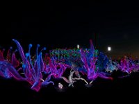 IMG 2128