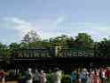Animal Kingdom