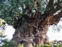 Tree Of Life2