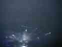 Fantasmic14