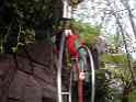 MaCaw1
