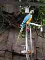 MaCaw2