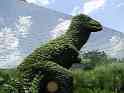 Dino