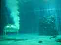 Living Seas2