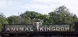 IMG 0415