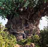 Tree of Life2