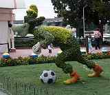 IMG 0770