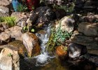 IMG 0356