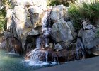 IMG 1505