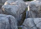 IMG 1540