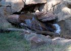 IMG 1542
