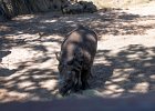 IMG 1449
