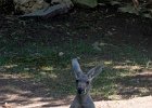 IMG 1476
