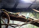 IMG 1479