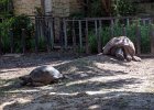 IMG 1485