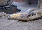 IMG 1551