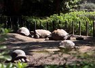 IMG 1034
