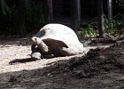 IMG 1665