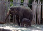 MG 1865  New baby born July 7, 2013